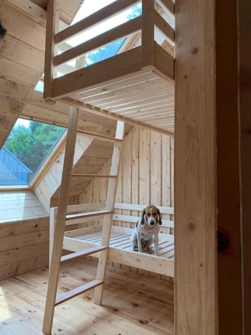 La Grange De La Gratade Villa Rochefort-Montagne Eksteriør billede